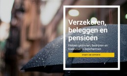 Verzekeringen Beleggen En Pensioen - Inspiratie Voor Mockups Voor Websites