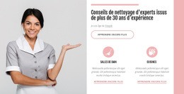 CSS Gratuit Pour Conseils De Nettoyage D'Experts