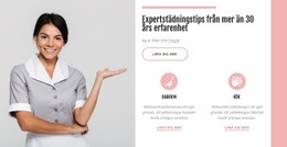 Gratis CSS För Expertstädningstips