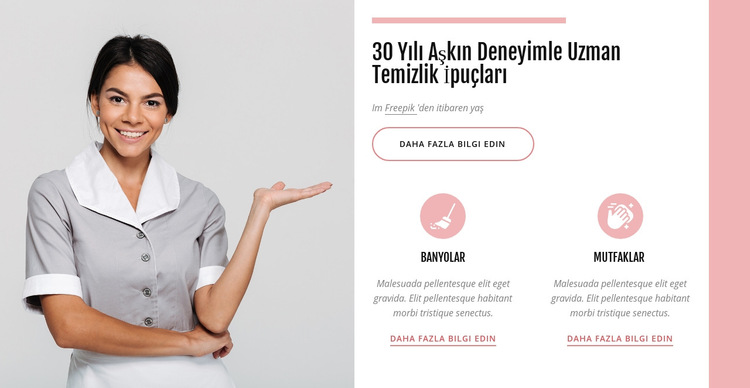 Uzman temizlik ipuçları Web Sitesi Şablonu