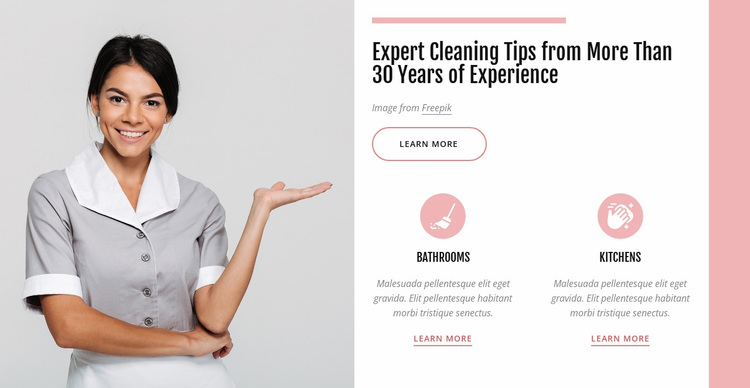 Expert cleaning tips Website Design