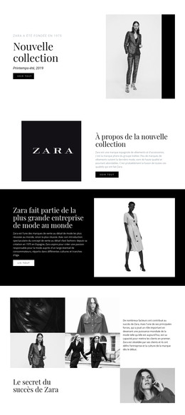 Porter La Beauté Et La Mode - Modèle De Page HTML