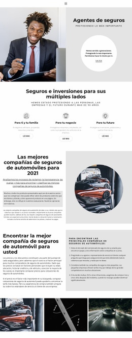 Resumen De Agentes De Seguros: Maqueta De Sitio Web Profesional Personalizable