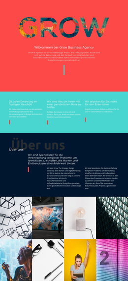 WordPress-Theme Für Entwickeln Sie Ihr Geschäft Herunterladen