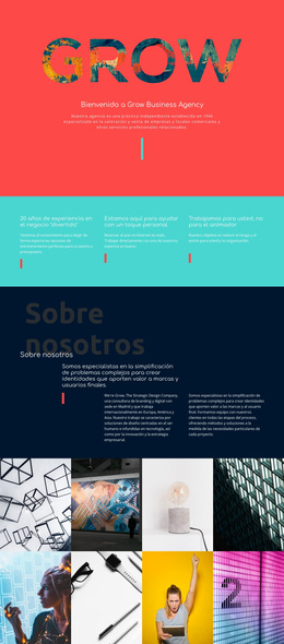 Descargar El Tema De WordPress Para Desarrolle Su Negocio