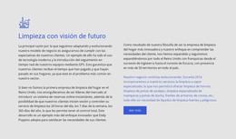 Limpieza Con Visión De Futuro