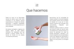 Servicios De Agencia De Limpieza