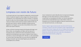 Limpieza Con Visión De Futuro