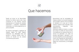 Servicios De Agencia De Limpieza