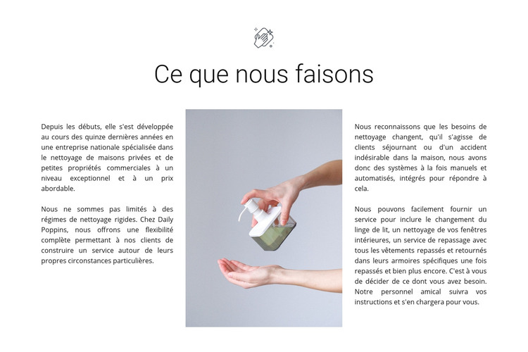 Services d'agence de nettoyage Modèle HTML