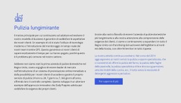 Pulizia Lungimirante