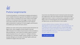 Pulizia Lungimirante