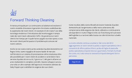 Pulizia Lungimirante