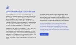 Vooruitstrevende Schoonmaak