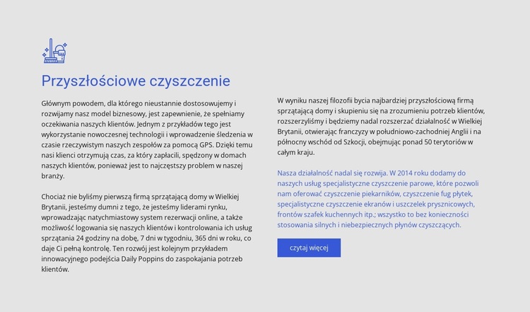 Sprzątanie z myślą o przyszłości Motyw WordPress