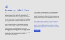 Limpeza Com Visão De Futuro