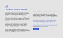 Limpeza Com Visão De Futuro