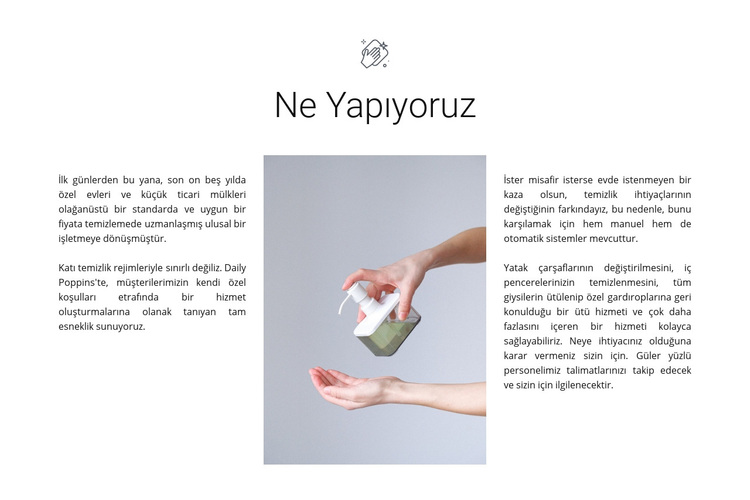 Temizlik acentesi hizmetleri WordPress Teması