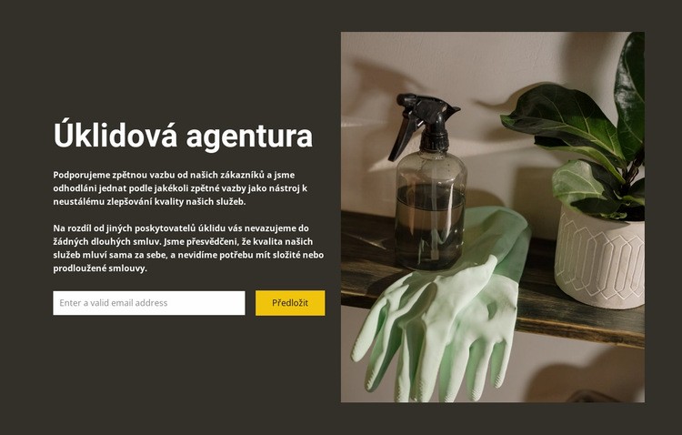 Jakékoli čištění Šablona webové stránky