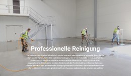 Professionelle Reinigung