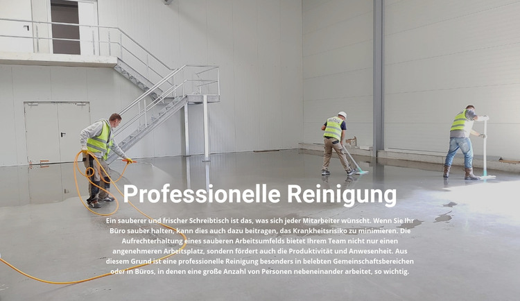 Professionelle Reinigung HTML-Vorlage