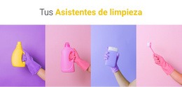 Tus Asistentes De Limpieza