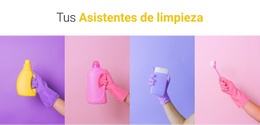 Tus Asistentes De Limpieza