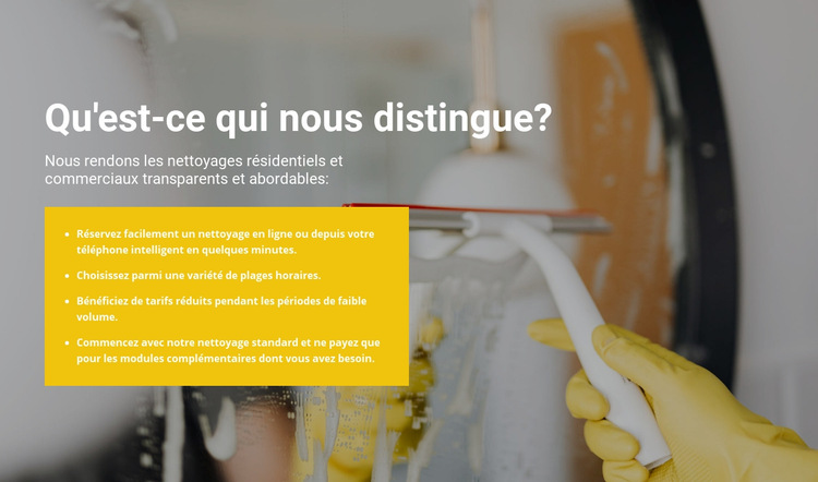 Nettoyage au plus haut niveau Modèle de site Web