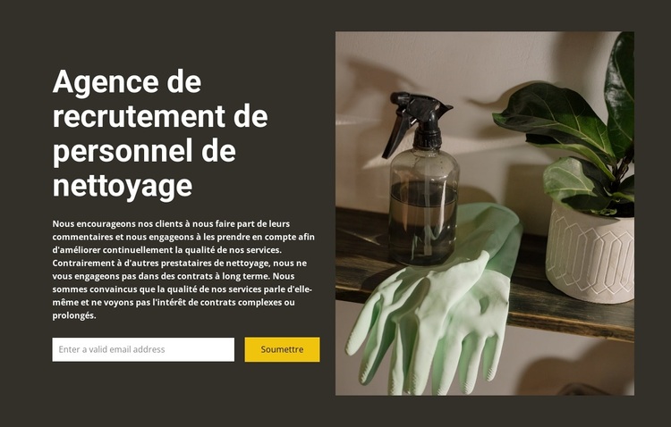 Tout nettoyage Thème WordPress