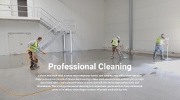 Professional Cleaning
