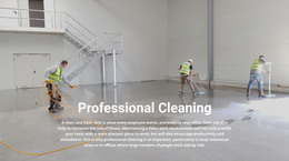 Professional Cleaning