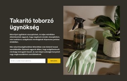 Bármilyen Tisztítás