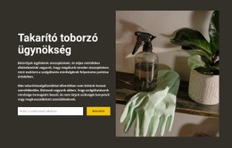 Bármilyen Tisztítás