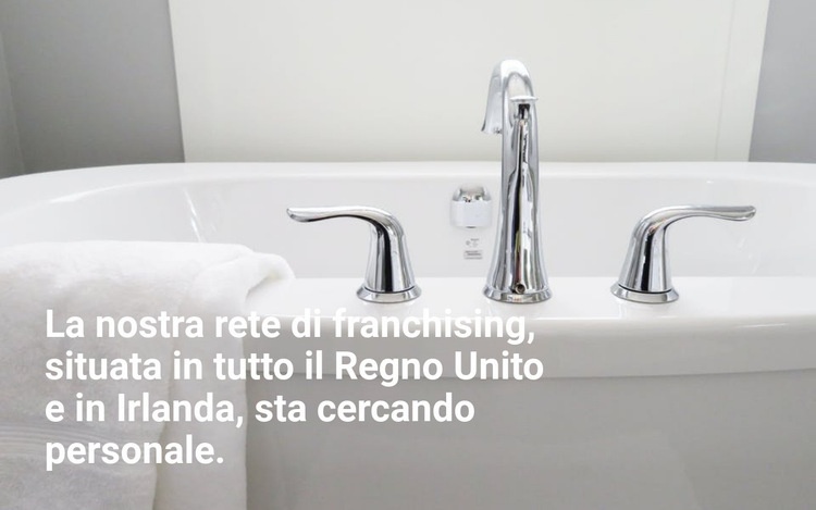 Agenzia di pulizie Progettazione di siti web