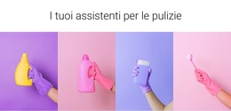 I Tuoi Assistenti Alle Pulizie