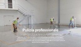 Pulizia Professionale