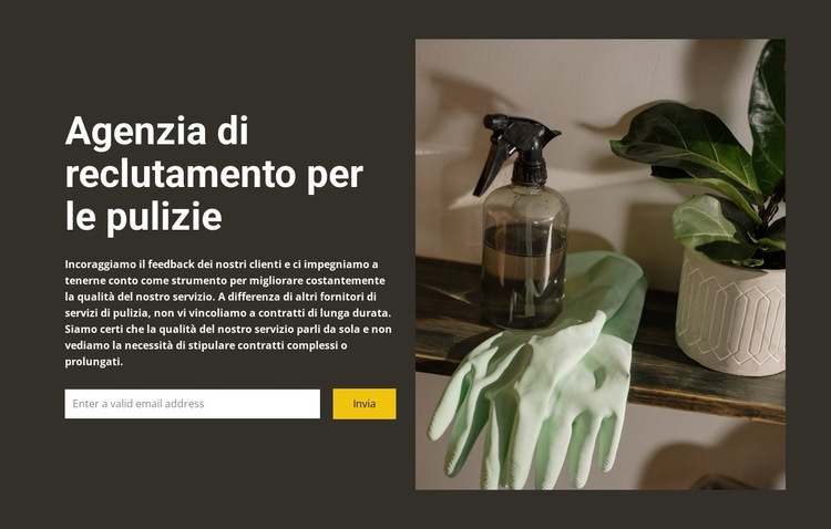 Qualsiasi pulizia Modello di sito Web