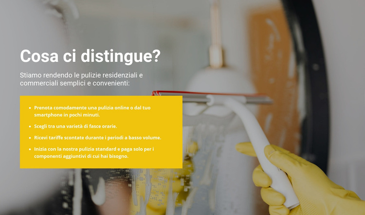 Pulizia al massimo livello Tema WordPress