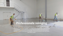 Professionele Schoonmaak