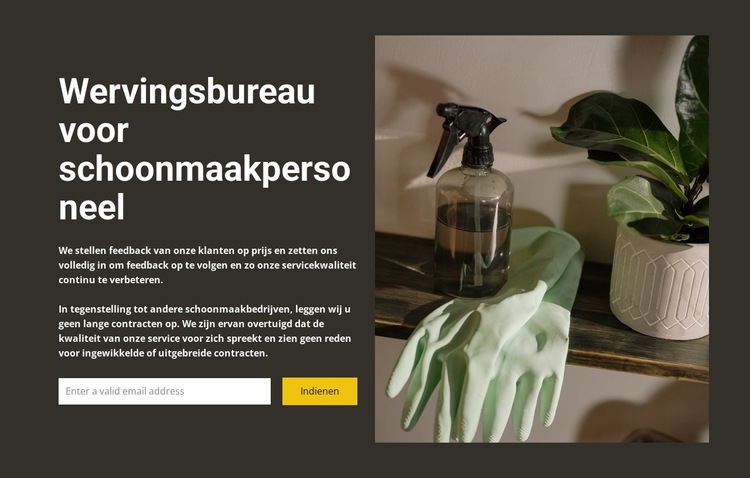 Elke schoonmaak Website sjabloon