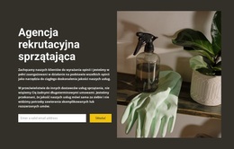 Wszelkie Sprzątanie