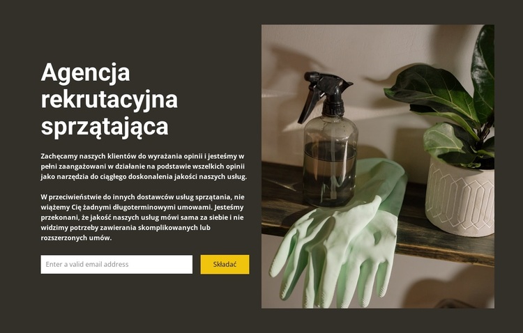 Wszelkie sprzątanie Motyw WordPress