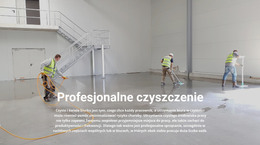 Profesjonalne Czyszczenie