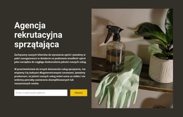 Wszelkie Sprzątanie