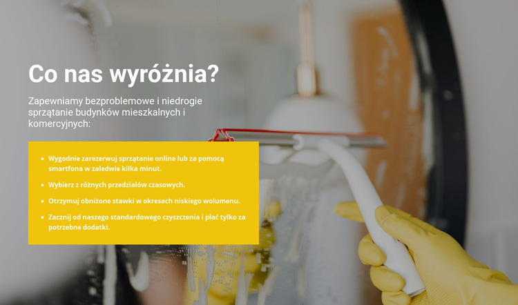 Czyszczenie na najwyższym poziomie Szablon witryny sieci Web