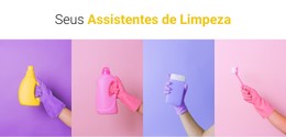 Seus Assistentes De Limpeza