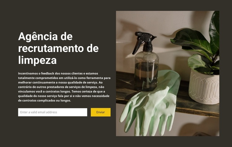 Qualquer limpeza Modelo de site