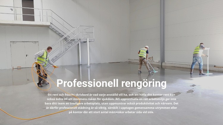 Professionell rengöring HTML-mall