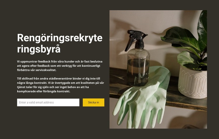 Eventuell städning Webbplats mall