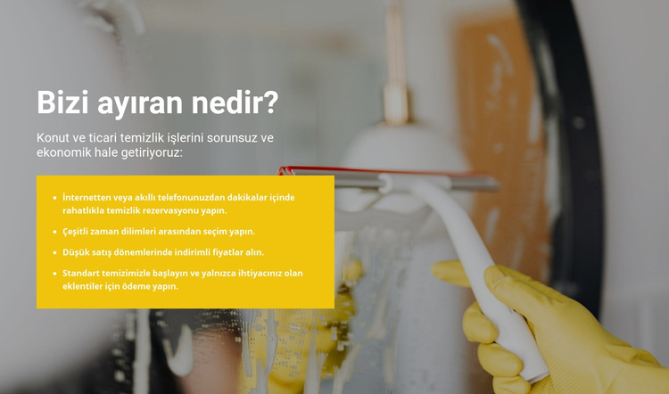 En üst düzeyde temizlik WordPress Teması